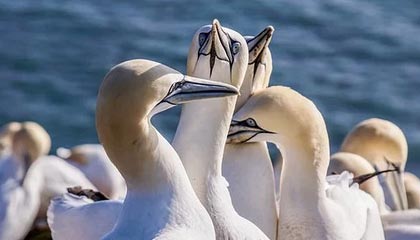 求推荐 意大利买200欧以内的男式钱包