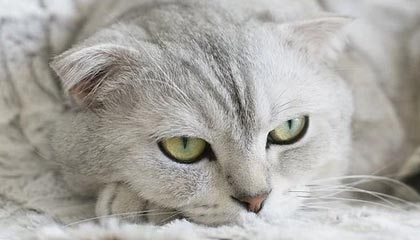 如何看待数字资产也需要“保险柜”？